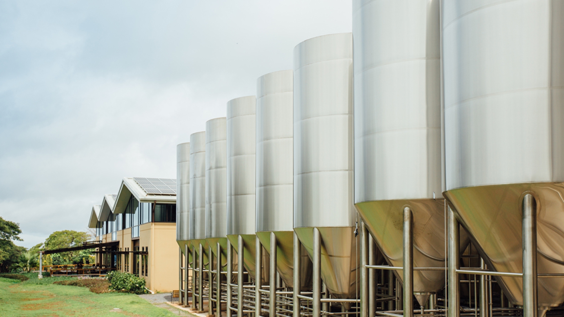Energy IQ Hawaii's largest craft brewer pursues grid independence